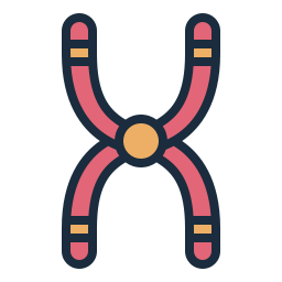 chromosome Icône