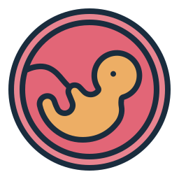 embryo icon