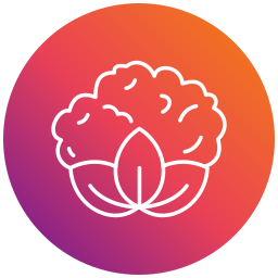 Cauliflower icon