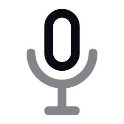 Mic icon