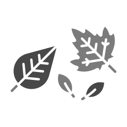 Autumn tree leafs icon