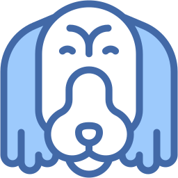 Cocker spaniel icon