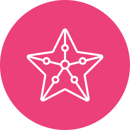 estrella de mar icono