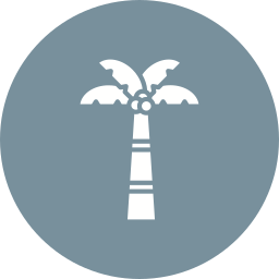 Coconut tree icon