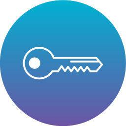 Key icon