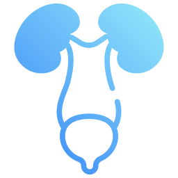 Kidney icon