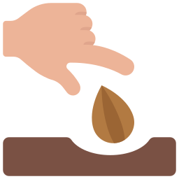 Seed icon