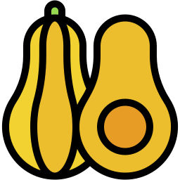 버터넛 스쿼시 icon
