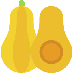 Butternut squash icon