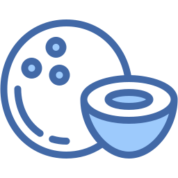 kokosnuss icon