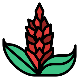 Tropical flower icon