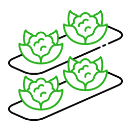 blumenkohl icon