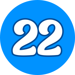 número 22 icono