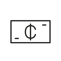 Currency icon