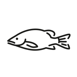 Fish icon