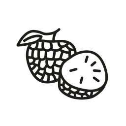 Fruit icon