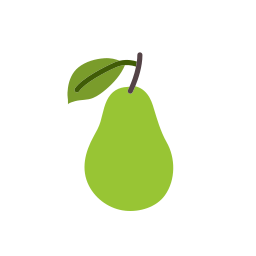 Fruit icon