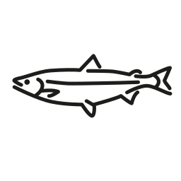 fisch icon