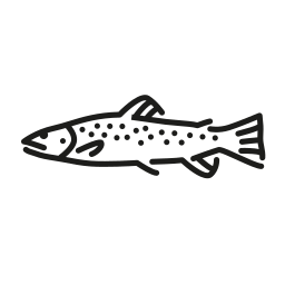 Brown trout icon