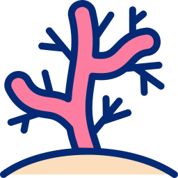 Coral icon