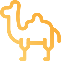 Dromedary icon