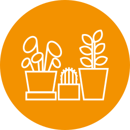 Домашнее растение иконка