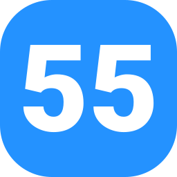 55 icona