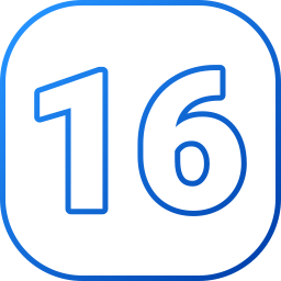 16 icona