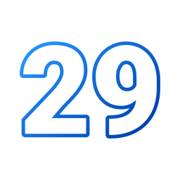 29 icono