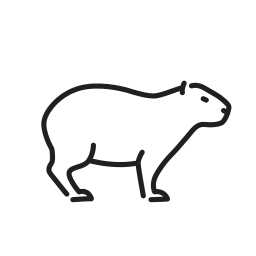 Animal icon