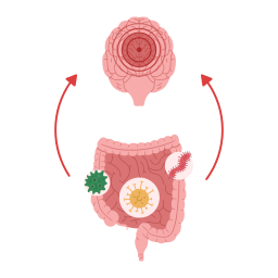 intestinos icono