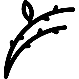 猫柳 icon