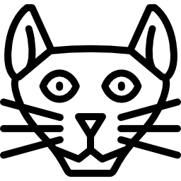Abyssinian cat icon