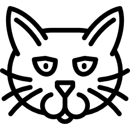 American wirehair cat icon