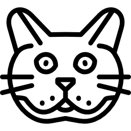kot brytyjski krótkowłosy ikona