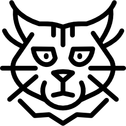 Maine coon cat icon