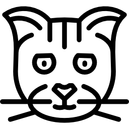 gatto munchkin icona