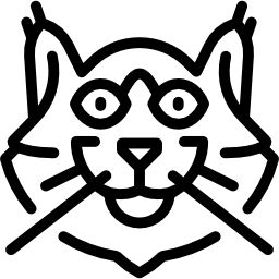 kot norweski leśny ikona
