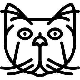 Persian cat icon