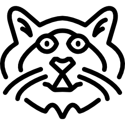 Ragdoll cat icon