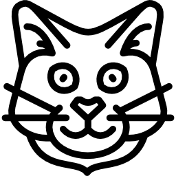 gatto somalo icona
