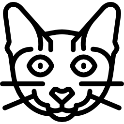 gato toyger icono