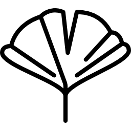 Apricot leaf icon