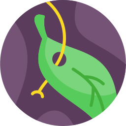 Eco tag icon