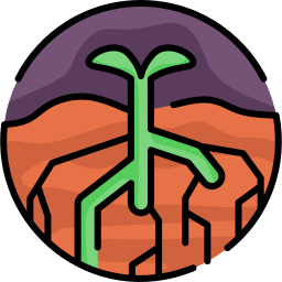 Sprout icon