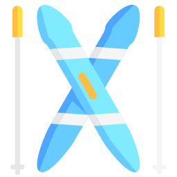 ski icon