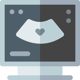 Echocardiography icon