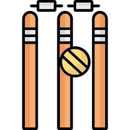 Wicket icon