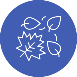 Leaves icon