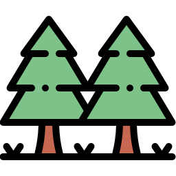 Pine icon